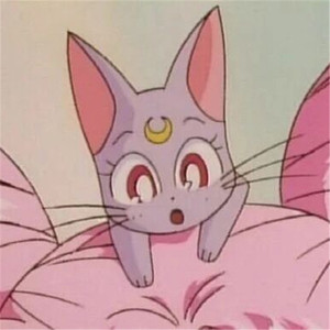 转化群发小蛇导航
