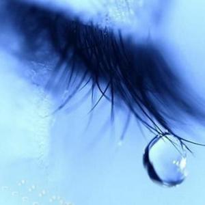 转化群发小蛇导航
